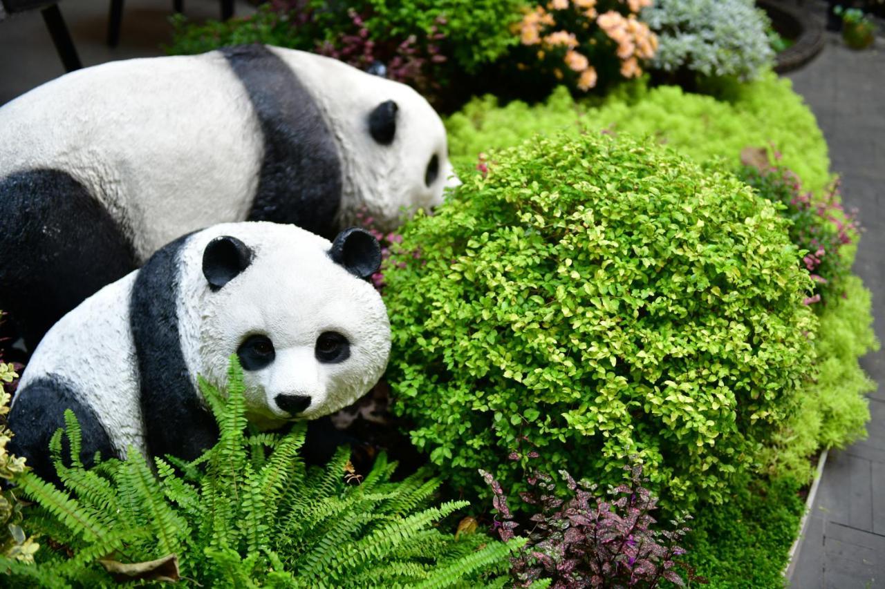 Xishu Garden Inn - Travel Agency Service - Car Rent Service - English Speaking Chengdú Exterior foto